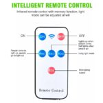 Outdoor Wall Sconce - Image 6