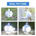 Portable Lantern - Image 5
