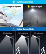 Solar Street Light - Image 2