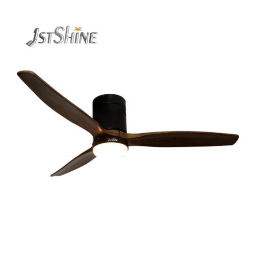 Ceiling Fan with Light