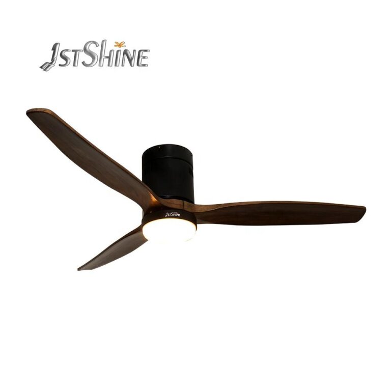 Ceiling Fan with Light