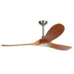 60'' Decorative Ceiling Fan