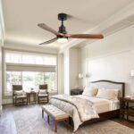 Ceiling Fan with Light