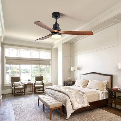 Ceiling Fan with Light