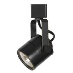 Track Lighting Fixture