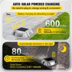 Solar Driveway Lights