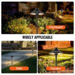 Low Voltage Landscape Lights