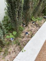 Solar Landscape Lights - Image 2