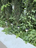 Solar Landscape Lights - Image 3