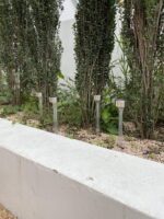 Solar Landscape Lights