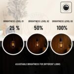 Dimmable Vintage Filament Light Bulb