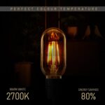 Dimmable Vintage Filament Light Bulb